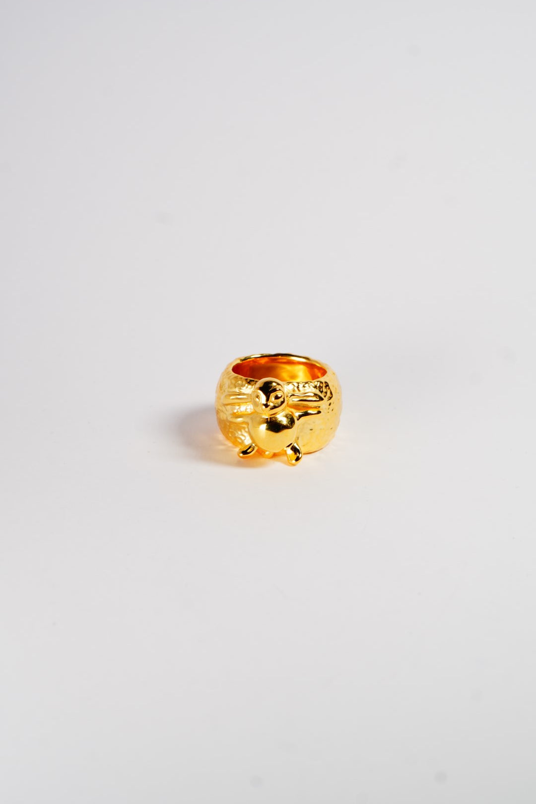 Happy Bunny sleeping under the sun