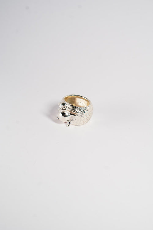 Happy Bunny sleeping under the sun